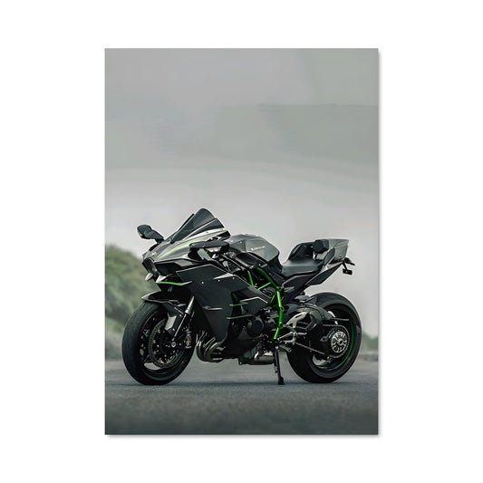 Poster Ninja h2 82389