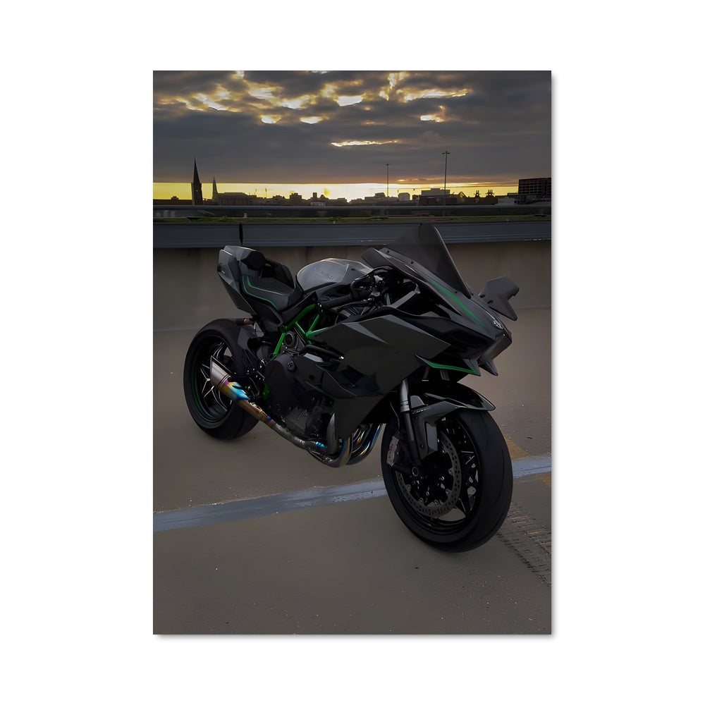 Poster Ninja h2 82394