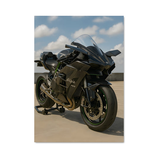 Poster Ninja h2 82401