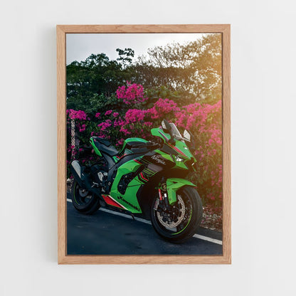 ap-ninja zx-10r-4 cadre Bois clair