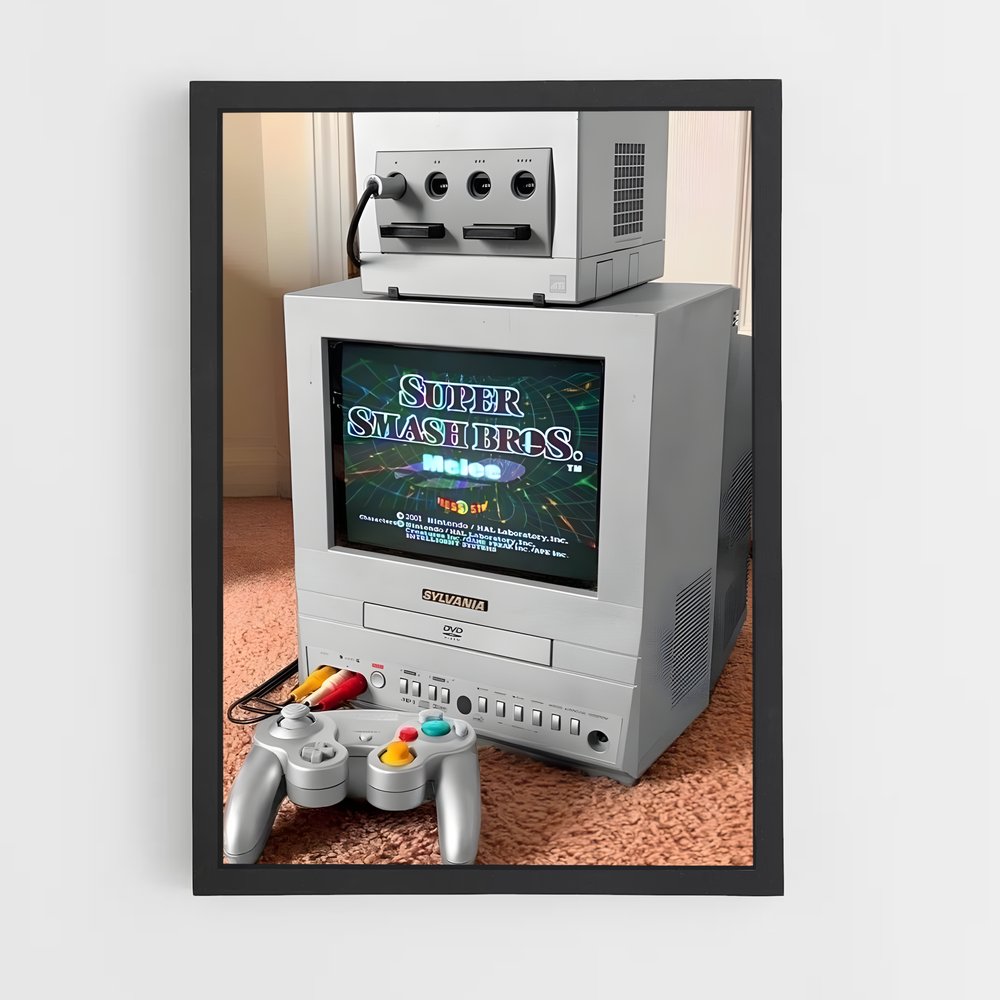 ap-nintendo gamecube-3 cadre Noir