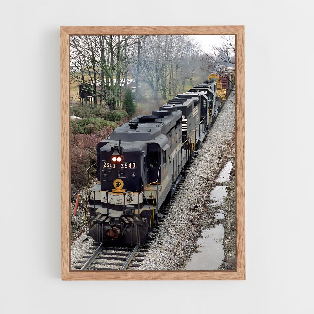 ap-norfolk southern-3 cadre Bois clair