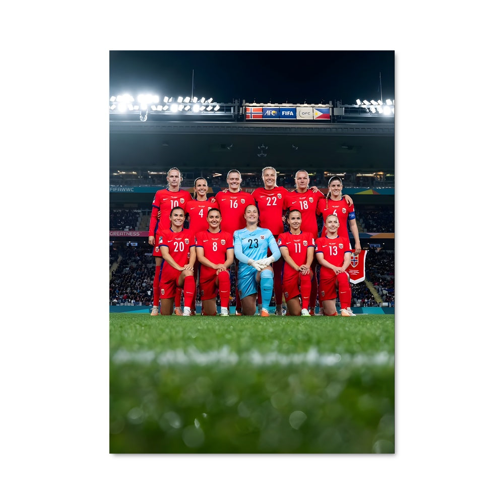 Poster Les Lions Scandinaves