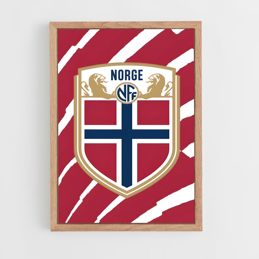 ap-norway national football team-3 cadre Bois clair