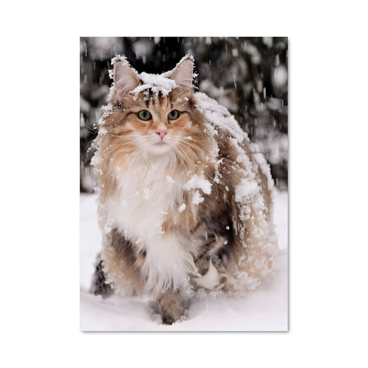 Poster Norwegian forest cat 84740