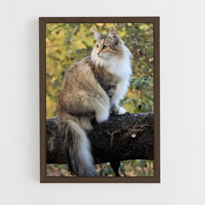 ap-norwegian forest cat-4 cadre Bois foncé