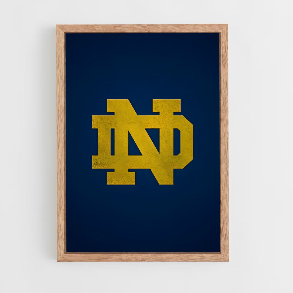 ap-notre dame fighting irish-2 cadre Bois clair