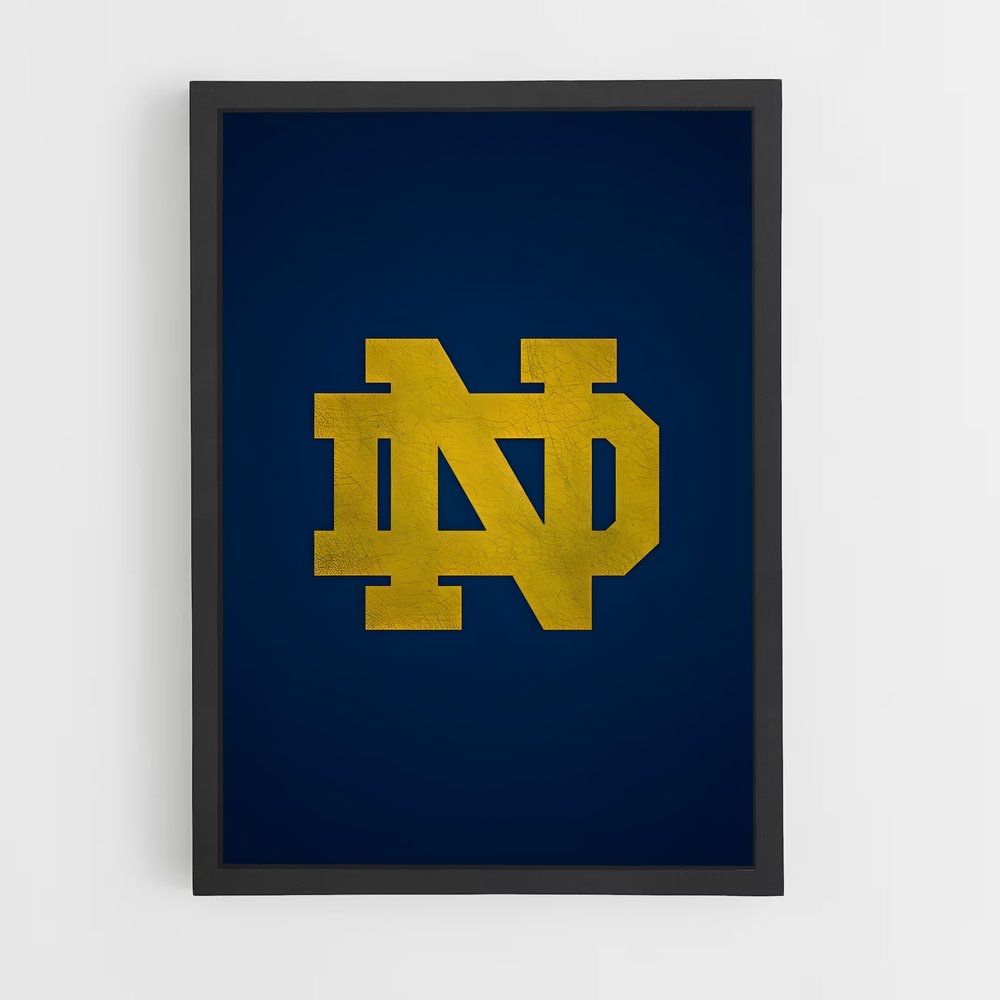 ap-notre dame fighting irish-2 cadre Noir