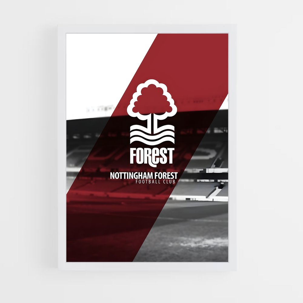 ap-nottingham forest fc-3 cadre Blanc