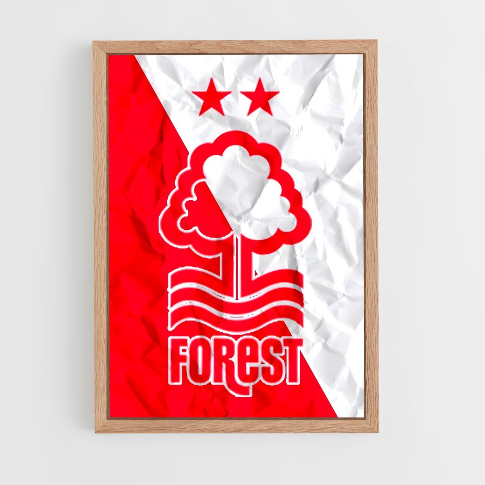 ap-nottingham forest fc-5 cadre Bois clair