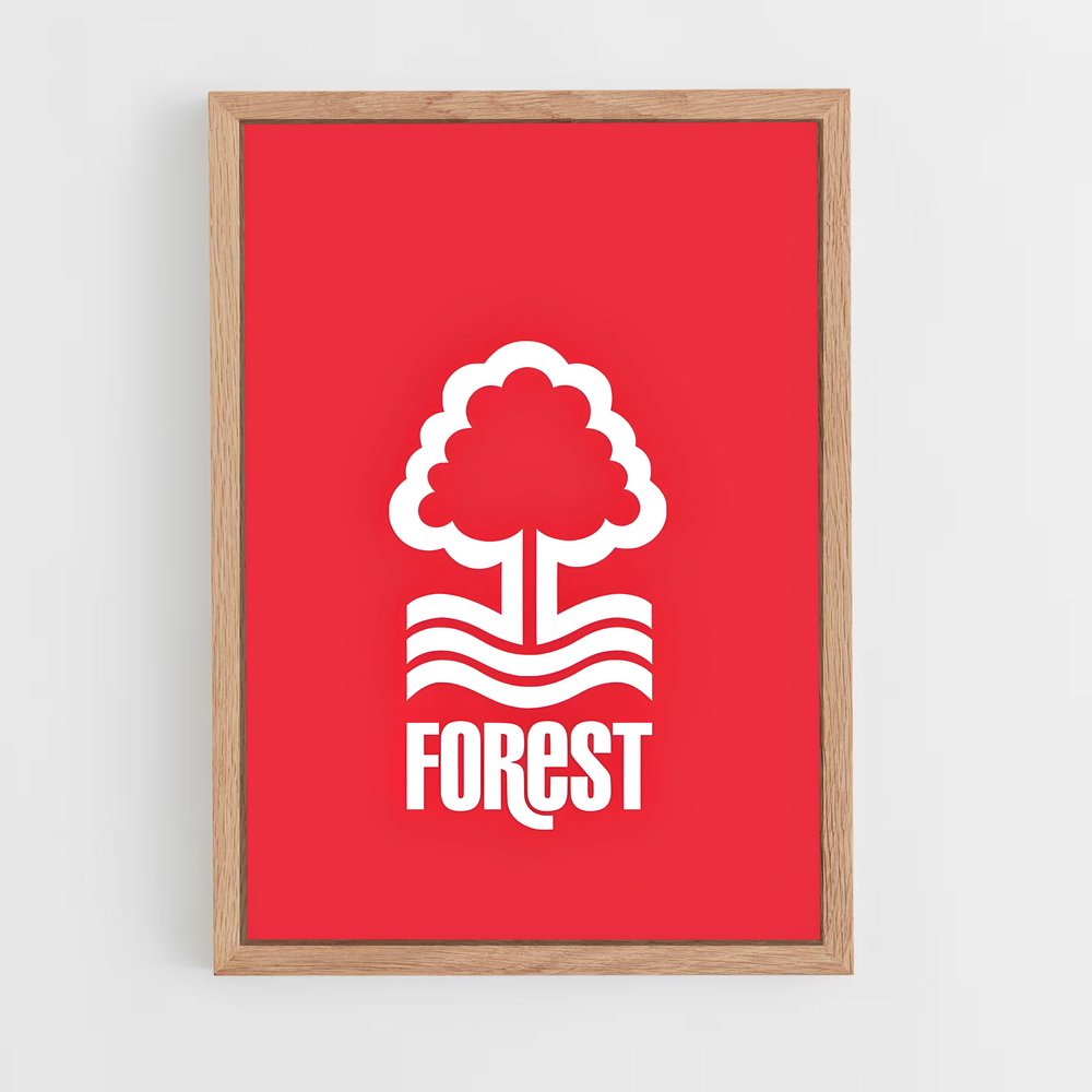ap-nottingham forest fc-6 cadre Bois clair
