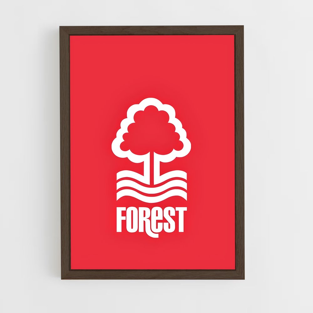 ap-nottingham forest fc-6 cadre Bois foncé