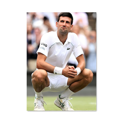 Poster La Détermination de Djokovic