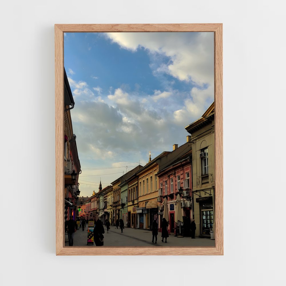 ap-novi sad-2 cadre Bois clair