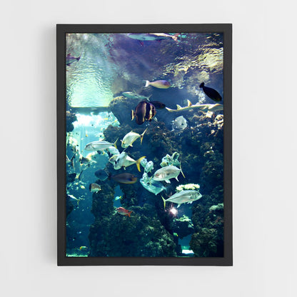 ap-oceanographic museum-1 cadre Noir