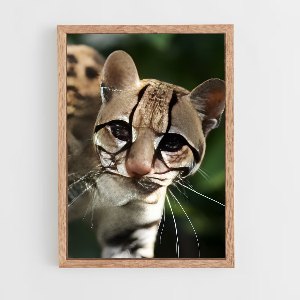 ap-ocelot-4 cadre Bois clair