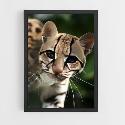 ap-ocelot-4 cadre Noir