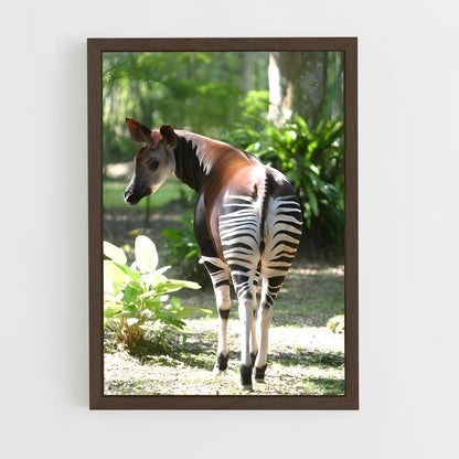 ap-okapi wildlife reserve-1 cadre Bois foncé