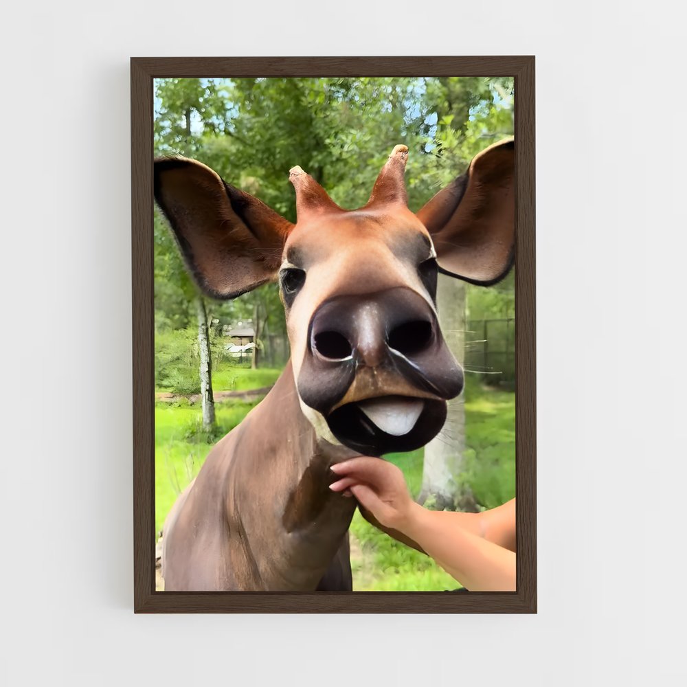 ap-okapi wildlife reserve-4 cadre Bois foncé