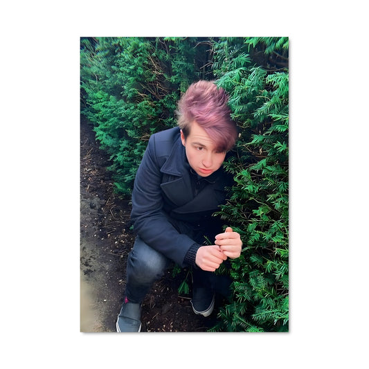 Poster Le Garçon aux Cheveux Roses