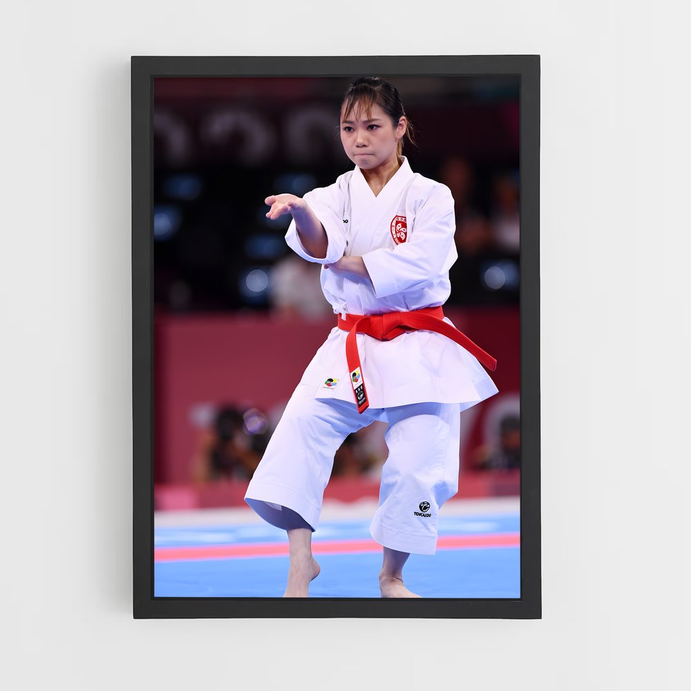 ap-olympics karate-2 cadre Noir