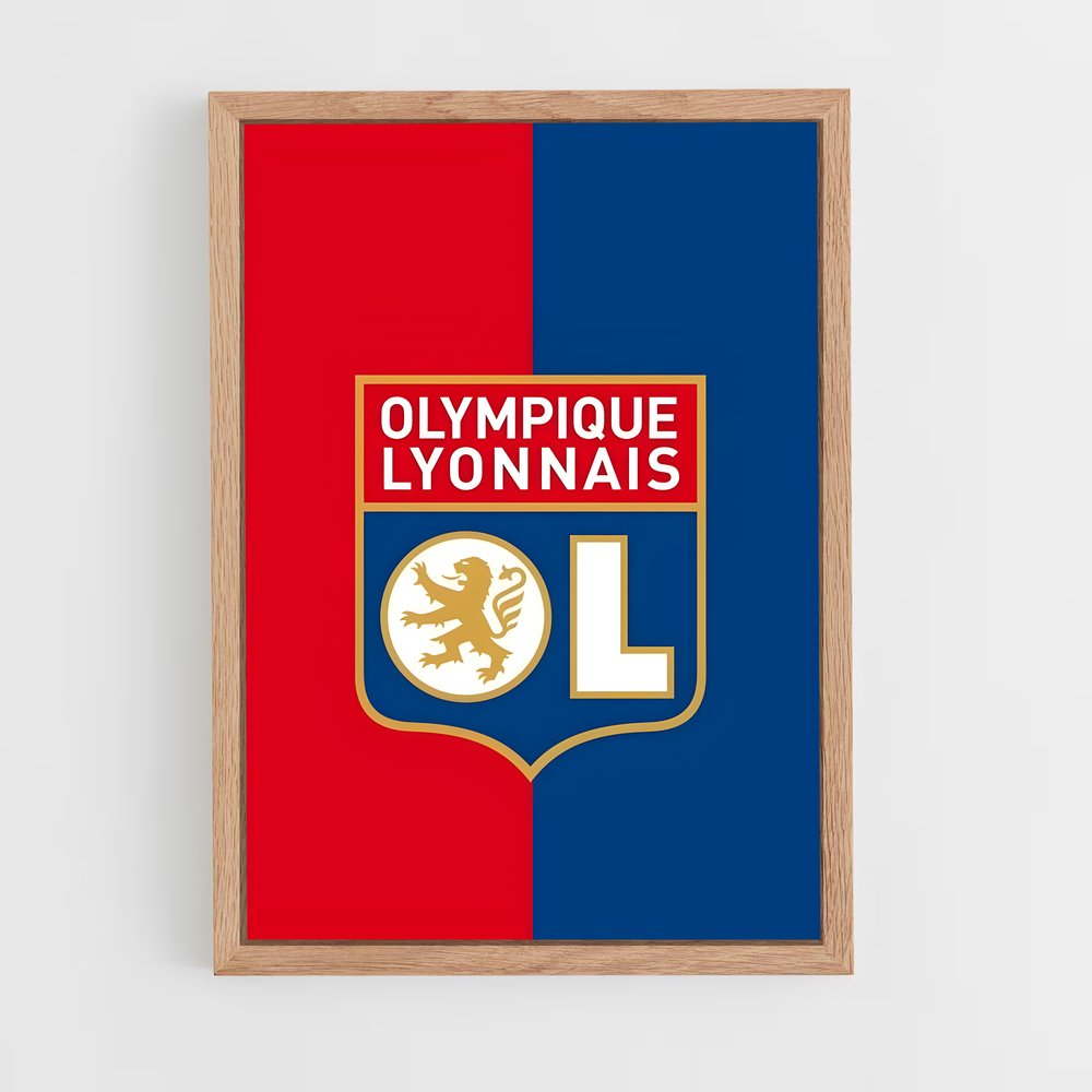 ap-olympique lyonnais-3 cadre Bois clair