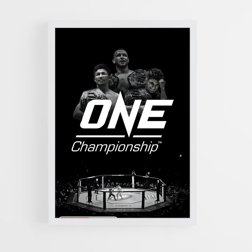 ap-one championship-2 cadre Blanc