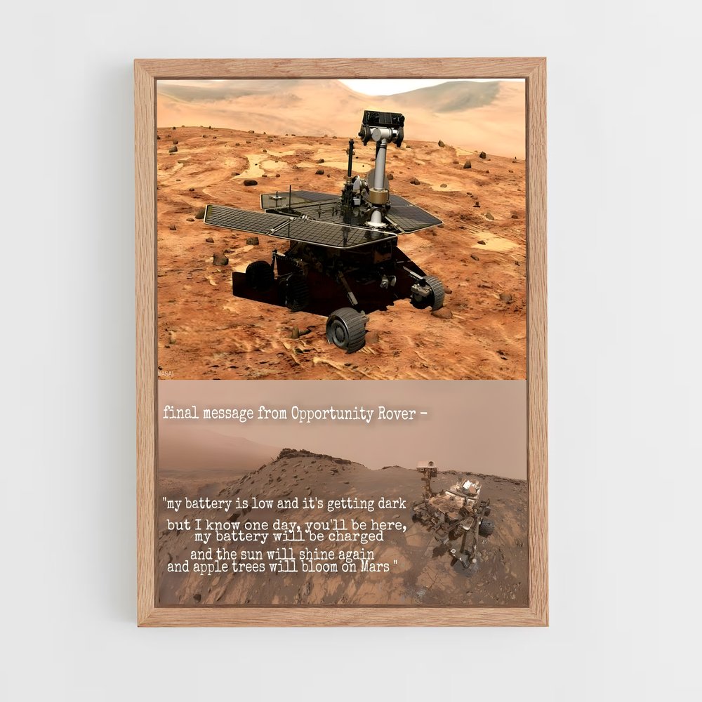ap-opportunity rover-2 cadre Bois clair