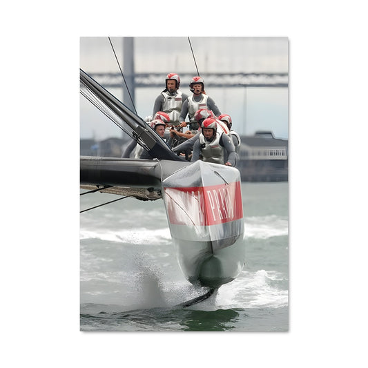 Poster Oracle team usa 80118