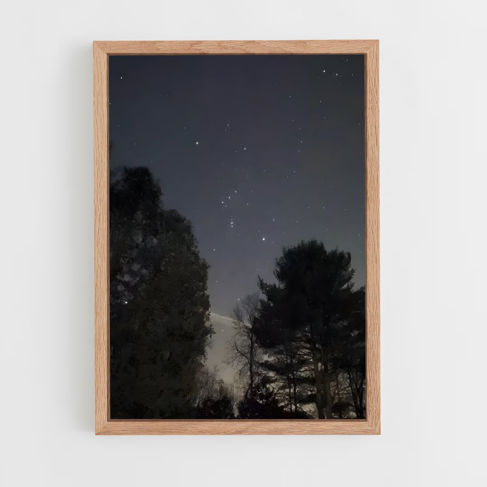 ap-orion belt-2 cadre Bois clair