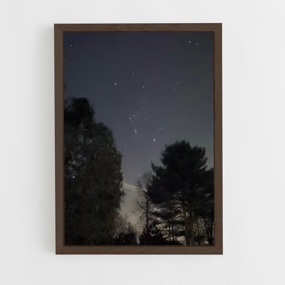 ap-orion belt-2 cadre Bois foncé