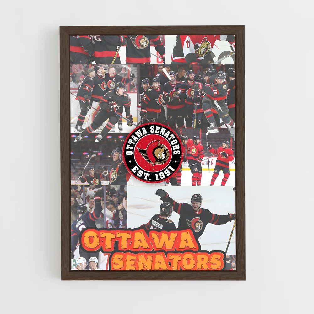 ap-ottawa senators-2 cadre Bois foncé