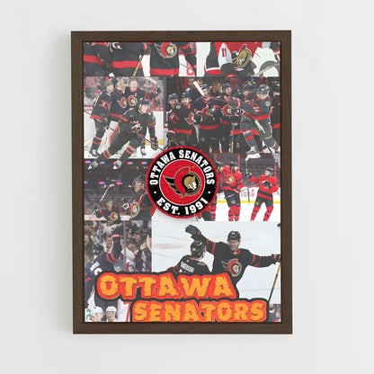 ap-ottawa senators-2 cadre Bois foncé