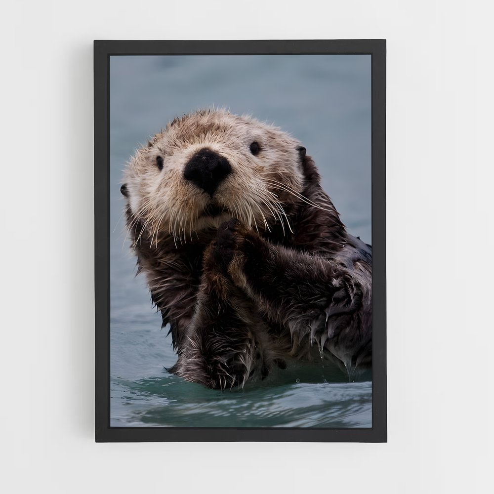 ap-otter-2 cadre Noir