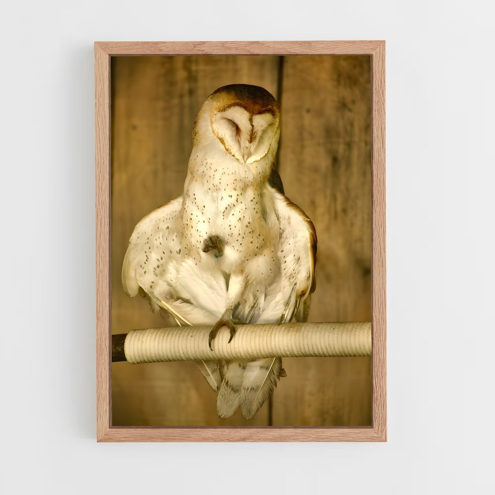 ap-owl-13 cadre Bois clair