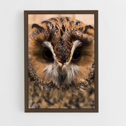 ap-owl-6 cadre Bois foncé