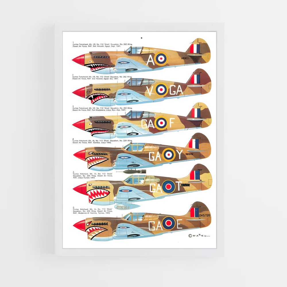 ap-p-40 warhawk-4 cadre Blanc