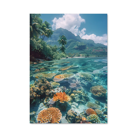 Poster Paradis Coralien