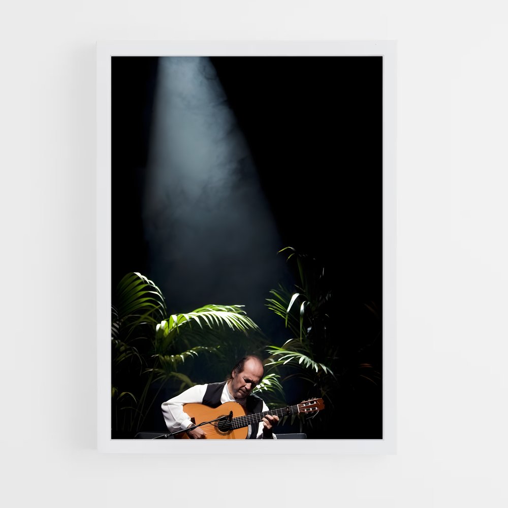 ap-paco de lucia-5 cadre Blanc