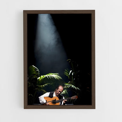 ap-paco de lucia-5 cadre Bois foncé