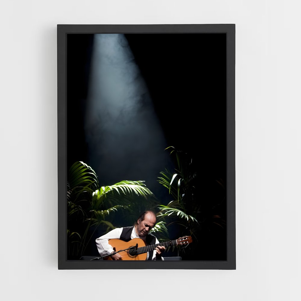 ap-paco de lucia-5 cadre Noir