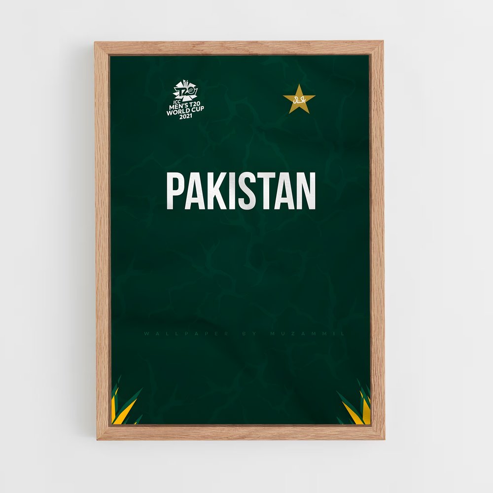 ap-pakistan national football team-2 cadre Bois clair
