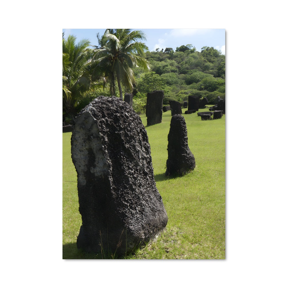 Poster Palau Paradise