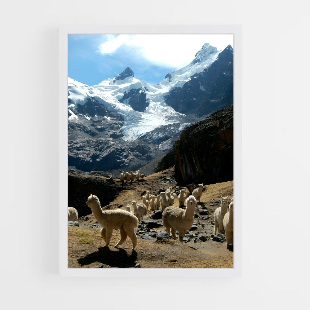 ap-pamir mountains-4 cadre Blanc