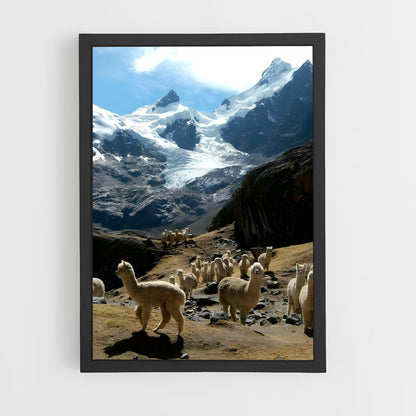 ap-pamir mountains-4 cadre Noir