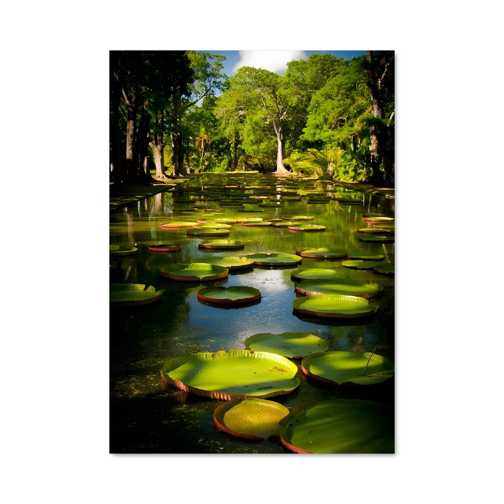 Poster Serenité Aquatique