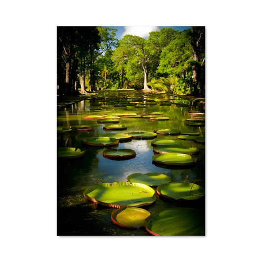 Poster Serenité Aquatique