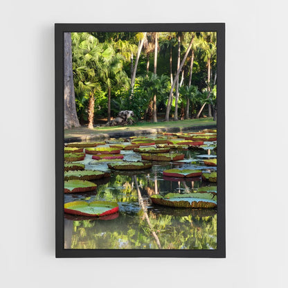 ap-pamplemousses botanical garden-8 cadre Noir