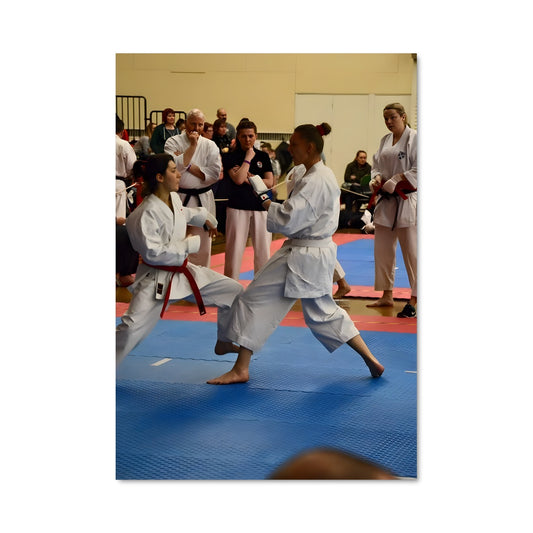 Poster Esprit du Dojo