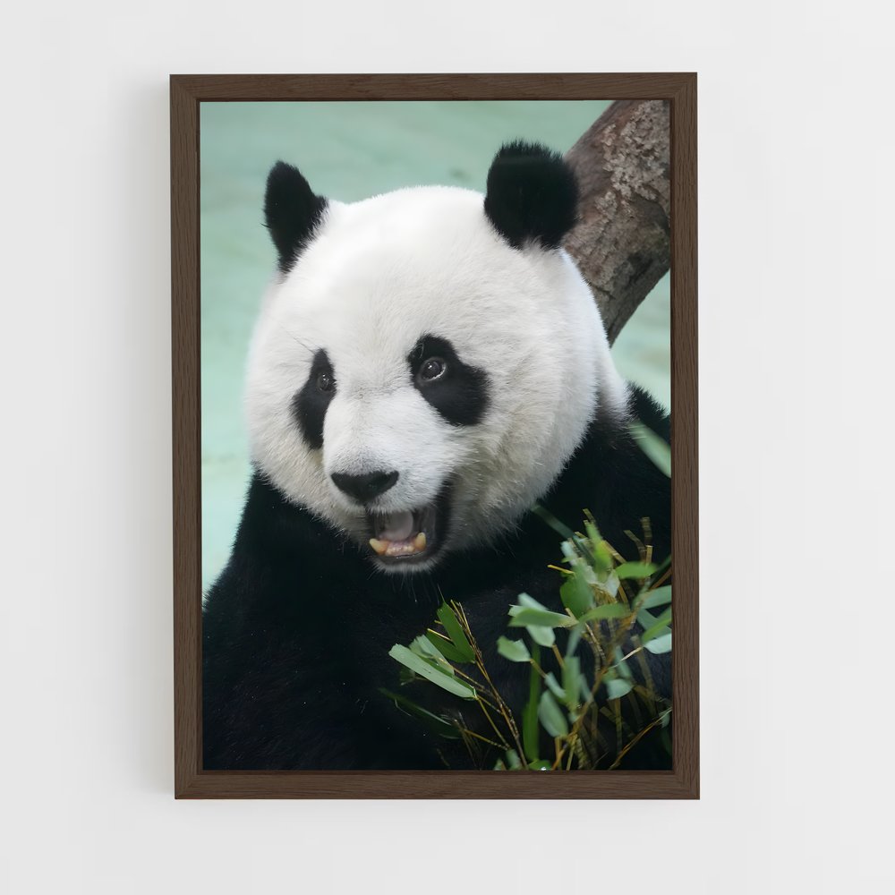 ap-panda-1 cadre Bois foncé